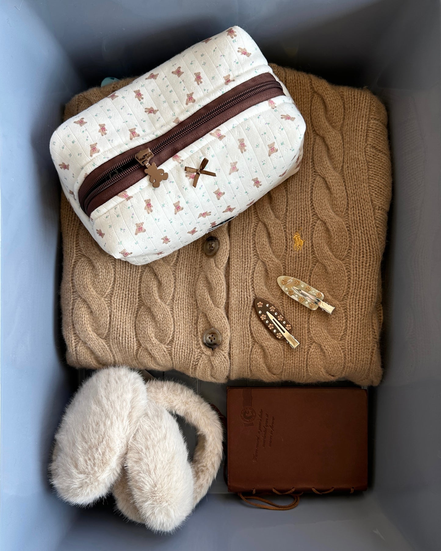 The Teddy Whimsy